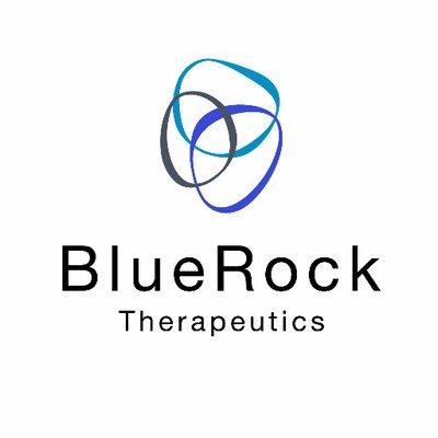 BlueRock Therapeutics logo