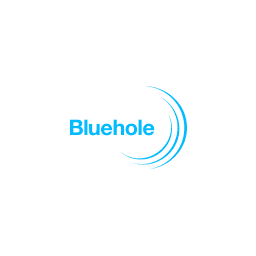 Bluehole (company) logo