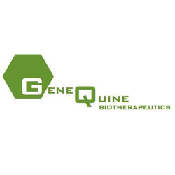 GeneQuine Biotherapeutics GmbH logo