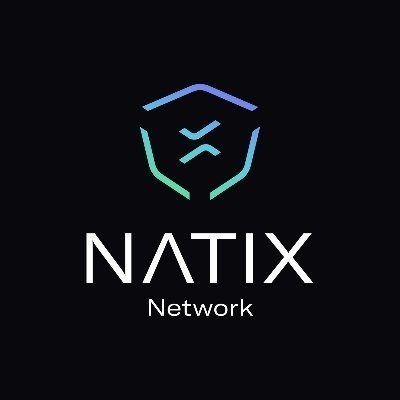 Natix Network logo