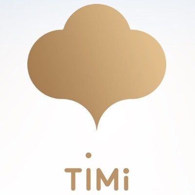 TiMi Studio Group logo