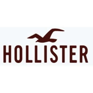 Hollister Co. logo