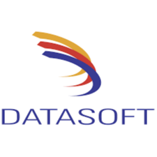 Datasoft logo