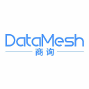 DataMesh logo