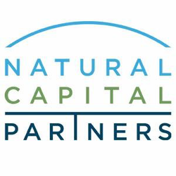 The Carbon Neutral Company logo