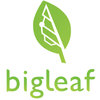 Bigleaf Networks logo