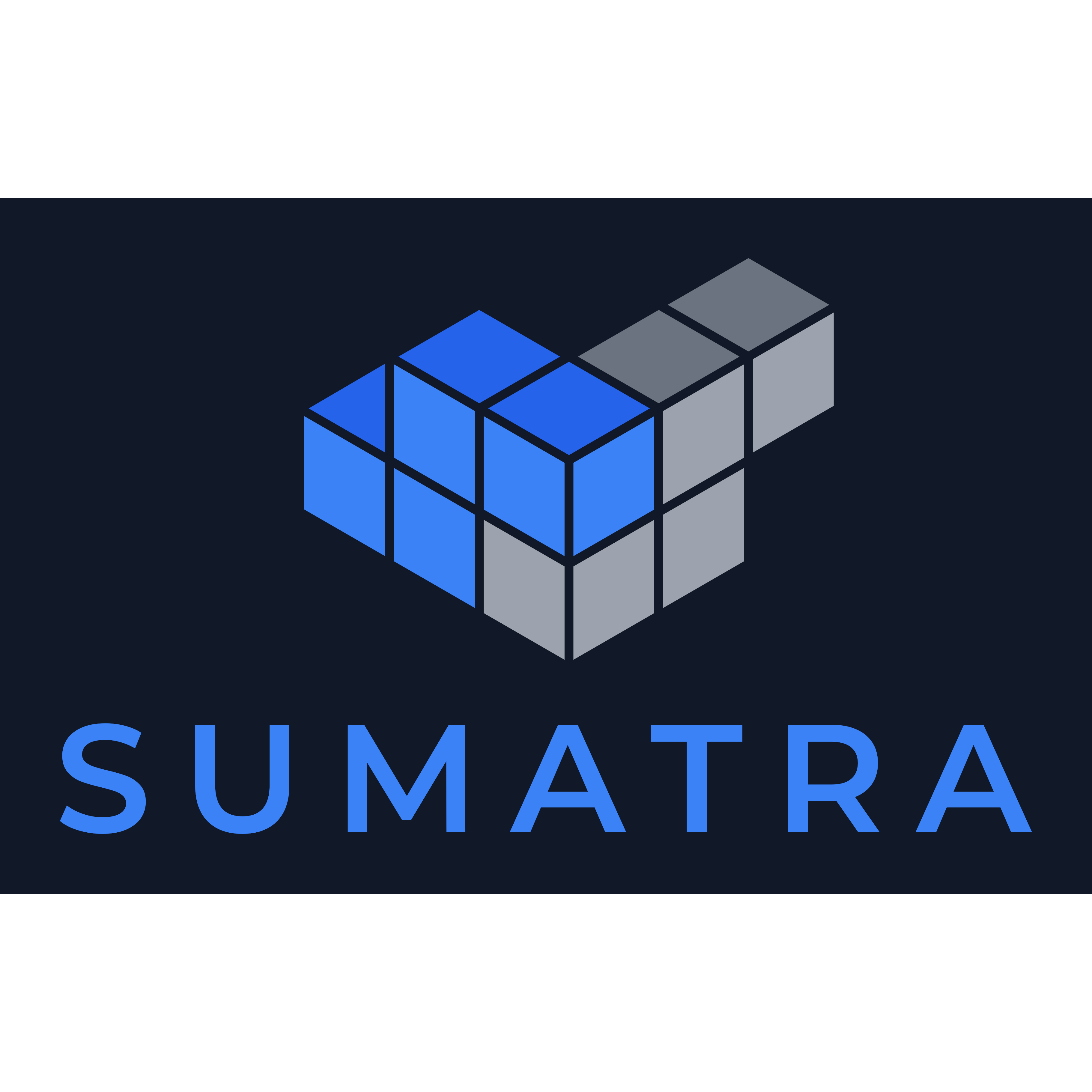 Sumatra (AI company) logo