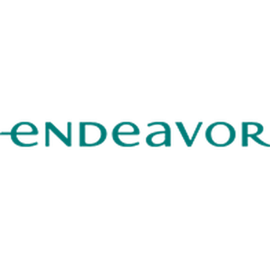 Endeavor (non-profit) logo