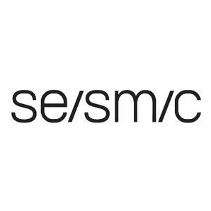 Seismic (company) logo