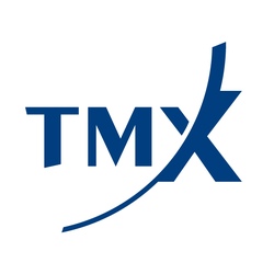 TSX Venture Exchange logo