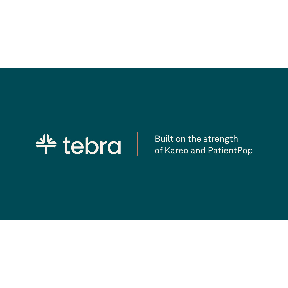 TEBRA TECHNOLOGIES, INC. logo