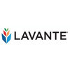 Lavante logo