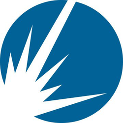 Mesirow Financial (company) logo