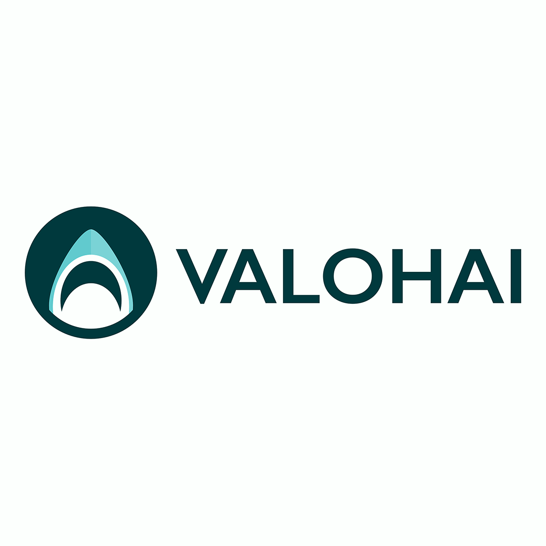 Valohai logo