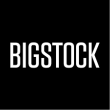 Bigstock logo