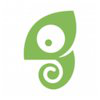 Chameleon (software company) logo