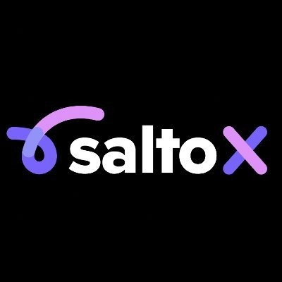 Salto X logo