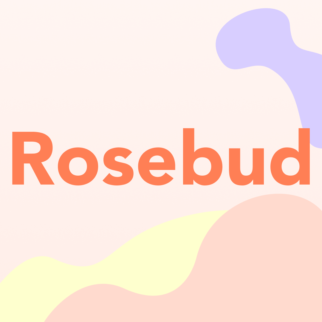 Rosebud AI logo