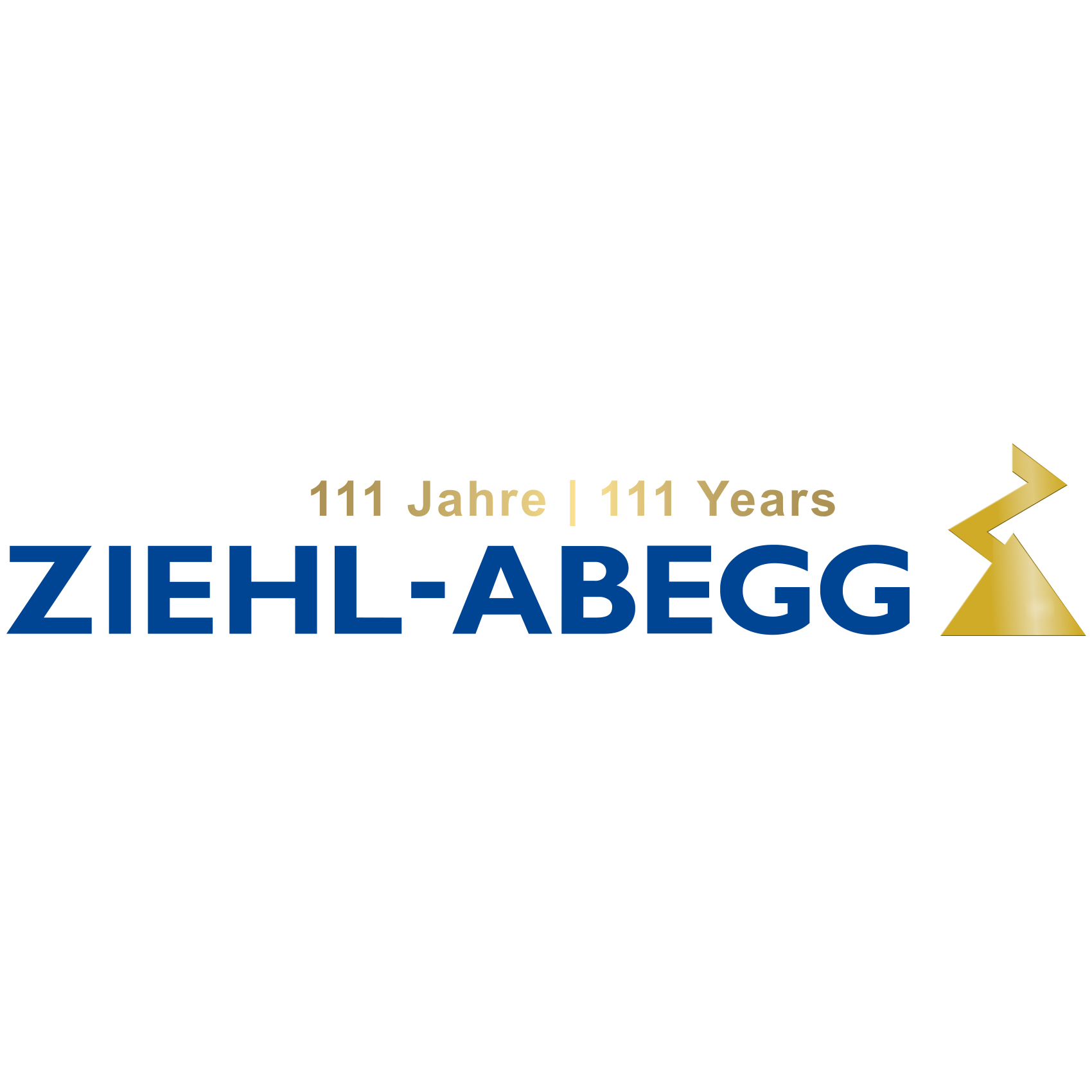 Ziehl Abegg Se logo