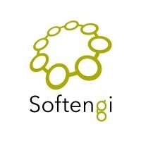 Softengi logo