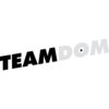 TeamDom logo