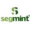 Segmint (Company) logo