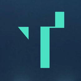 Toka Cyber Builders logo