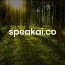 Speak Ai logo