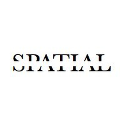 Spatial (company) logo