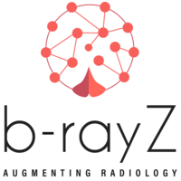 b-rayZ logo