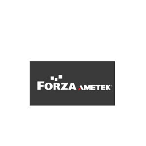 Forza Silicon logo