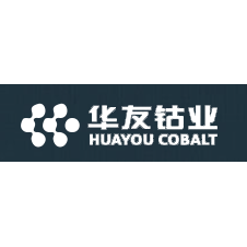 Zhejiang Huayou Cobalt Co., Ltd logo