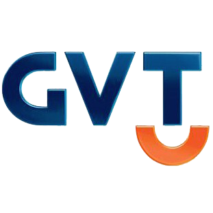 Global Village Telecom logo