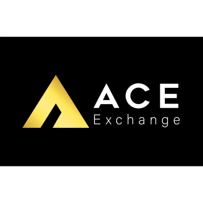 ACE Digital Innovations Co., Ltd. logo