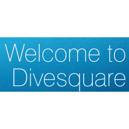 Divesquare logo