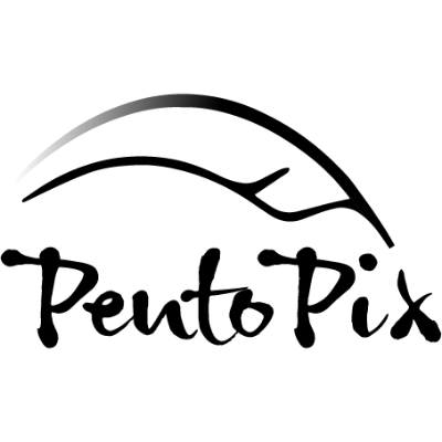 PentoPix logo