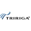 TRIRIGA logo