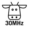 30MHz logo