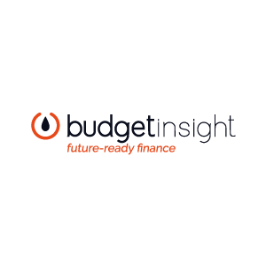 Budget Insight logo