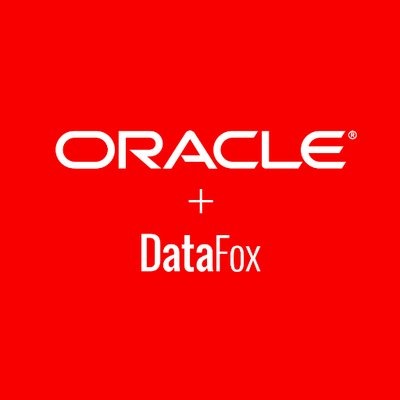 Datafox logo