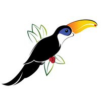 Toucan Capital logo