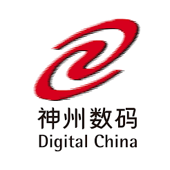 Digital China logo