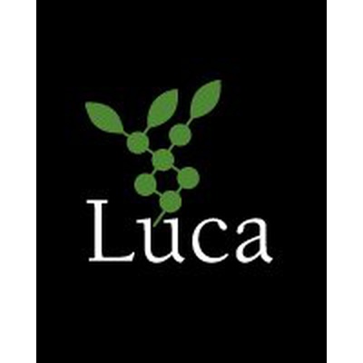 Luca Technologies logo