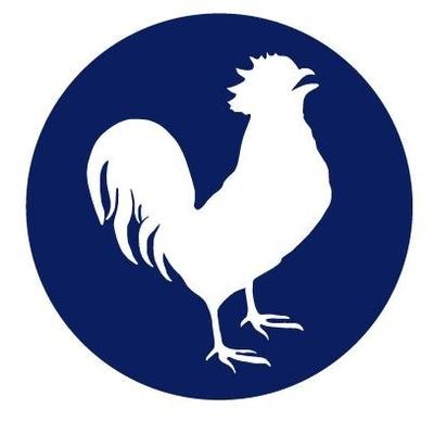 RoosterBio logo