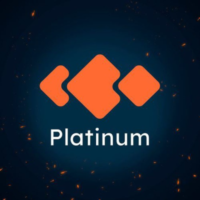 Platinum Capital logo