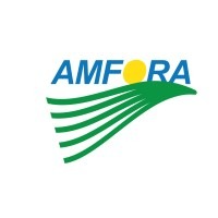 Amfora logo