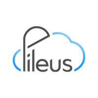 Pileus logo