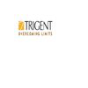 Trigent Software Ltd  logo