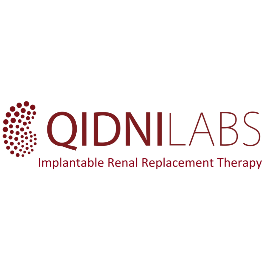 Qidni Labs logo