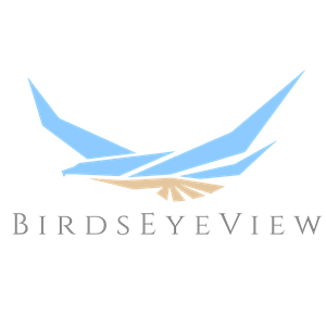 BirdsEyeView logo